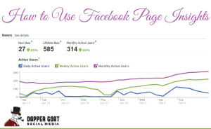 Facebook Page Insights